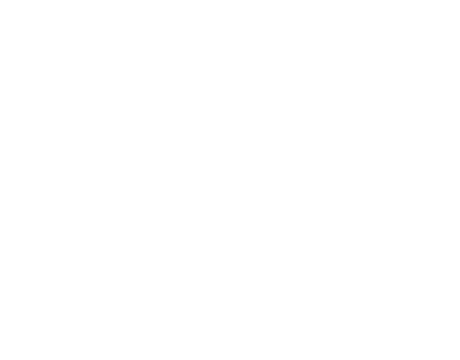 Elitte Group, Soluções Empresariais