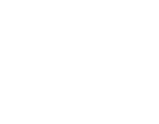 Elitte Group, Soluções Empresariais